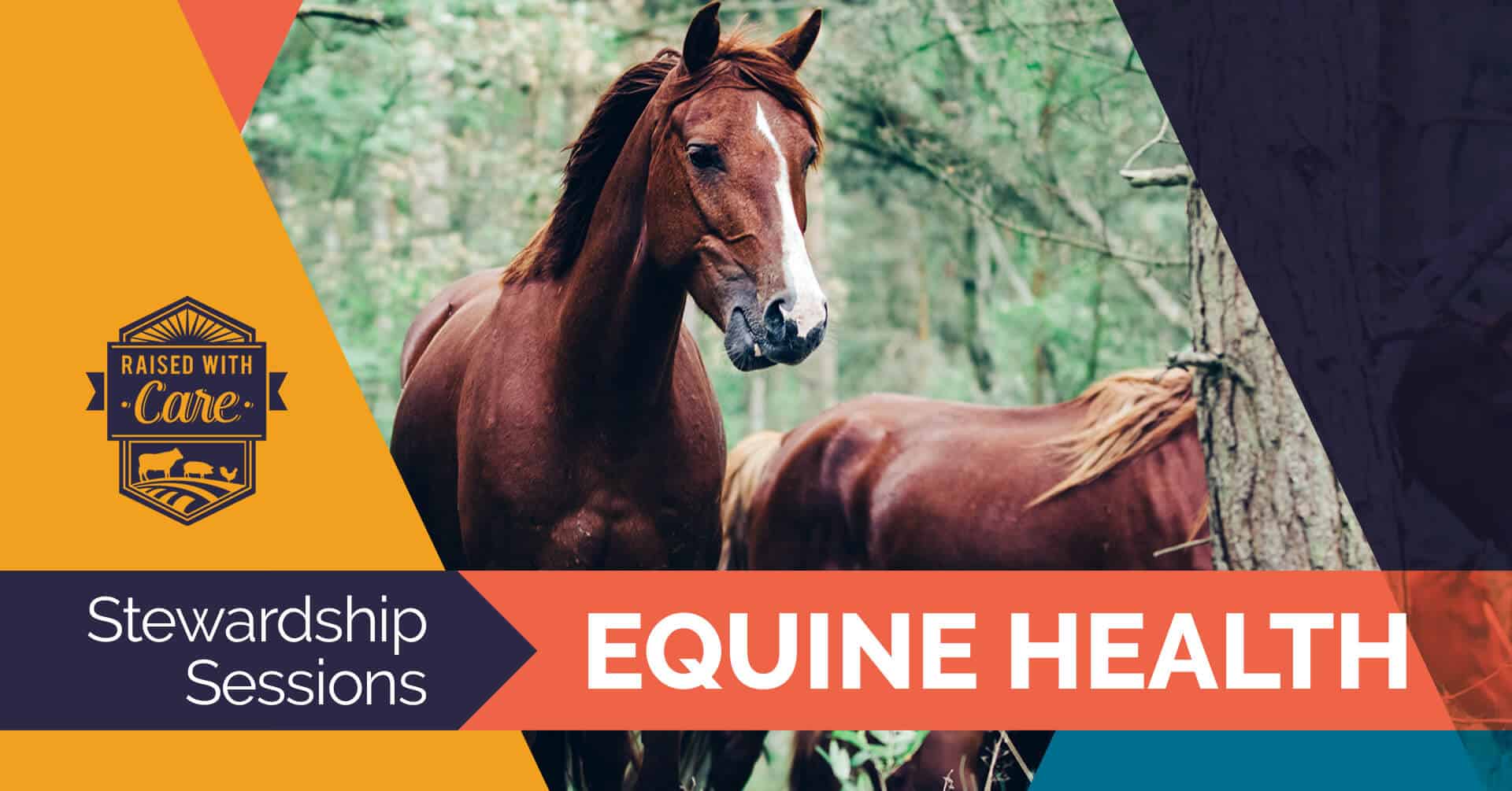 Raised With Care: Stewardship Sessions Equine Health
