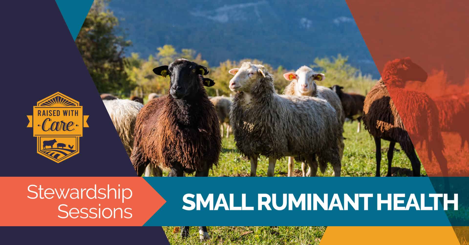 Raised With Care: Stewardship Sessions Small Ruminant Health